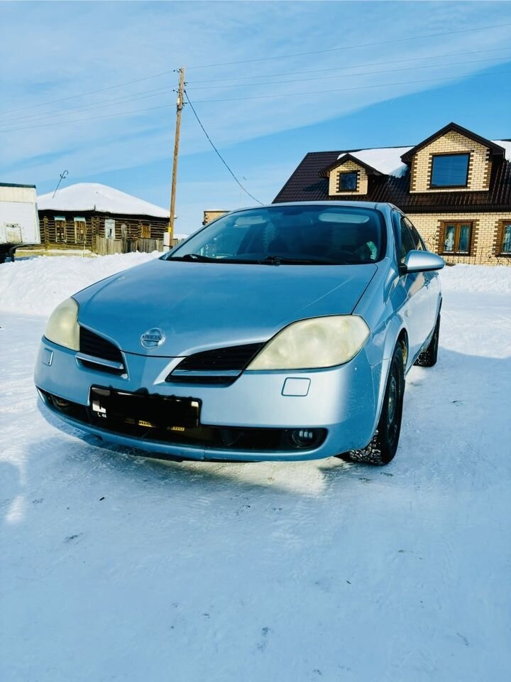 Nissan Primera: фото владельца