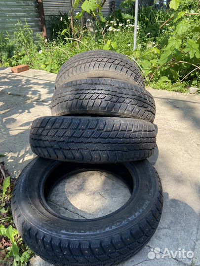 Nexen Winguard 231 185/65 R15 88T