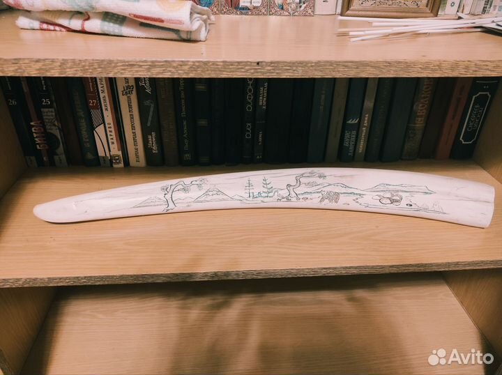 Клык(бивень) моржа(имитация)