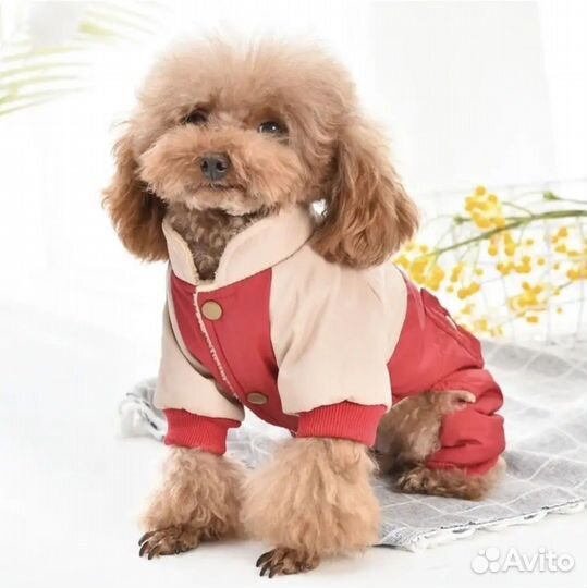 Комбинезон для собак