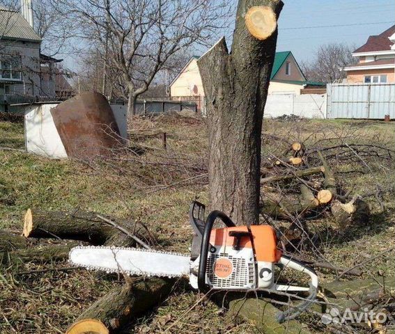 Благоустройство дачного участка