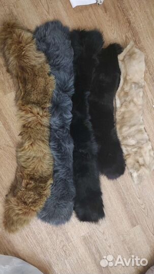Меховые воротники. Шкурка животных