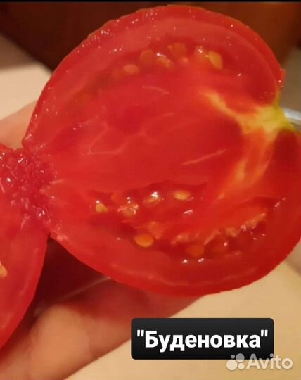 Семена вкусных домашних помидор старых сортов СССР