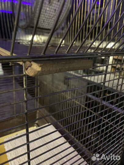 Клетка большая