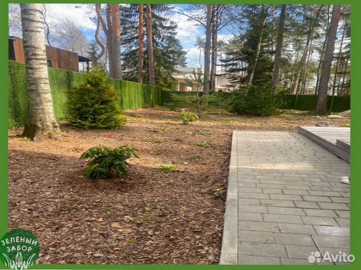 Зелёный Забор