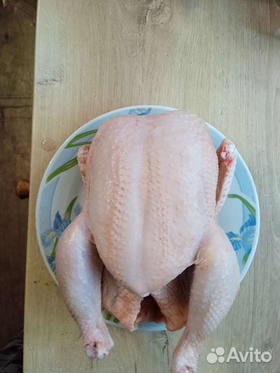 Мясо домашней курицы