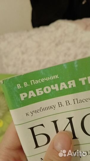 Рабочим тетради 6 класс