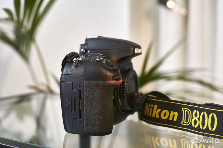Зеркальный фотоаппарат nikon D800