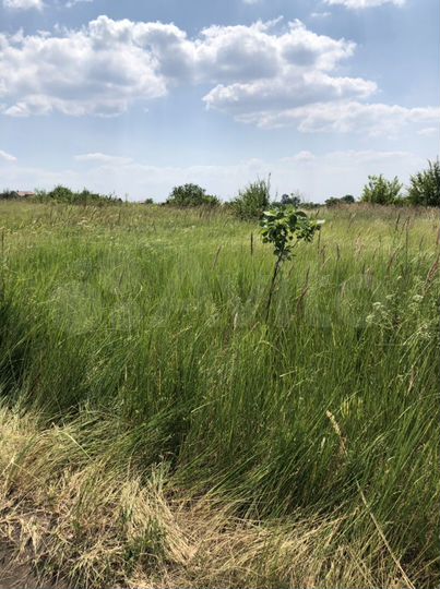 Участок 4 сот. (СНТ, ДНП)