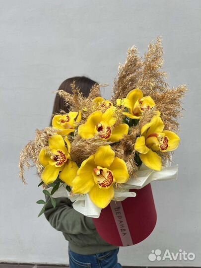 Орхидеи в коробке