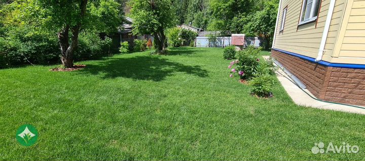 Рулонный газон с укладкой