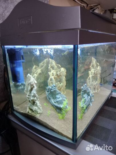 Аквариум