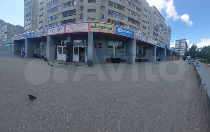 Торговая площадь - 36.6 м²