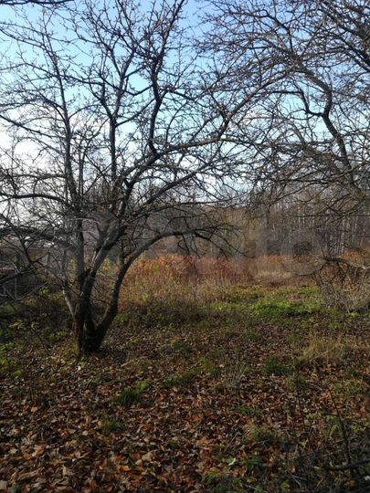 Дом 85 м² на участке 12 сот.