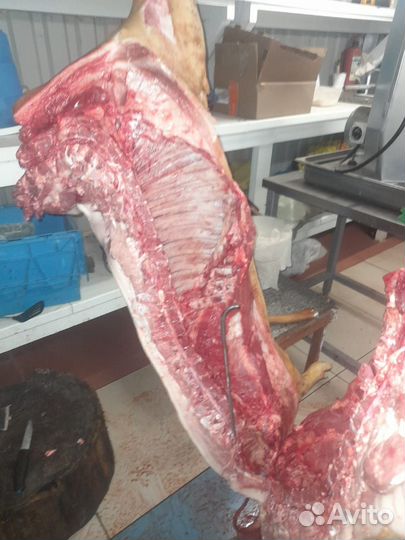 Мясо свинина домашняя