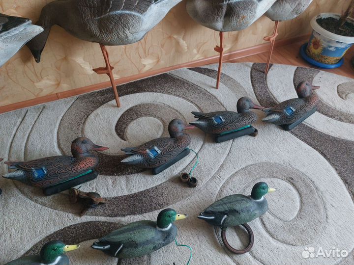 Чучела уток и гусей