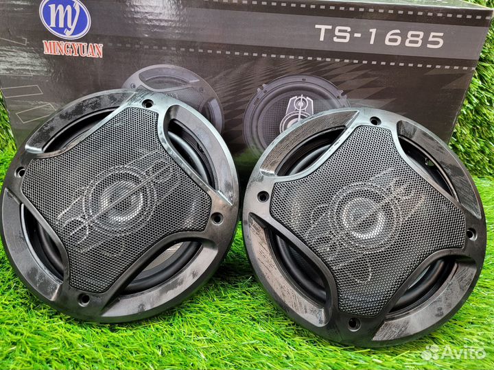 Автоколонки Pion Mingyuan TS-1685, колонки в машин