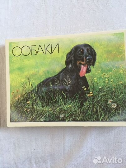 Спички коллекционные