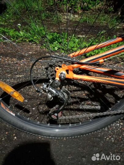 Велик stels focus