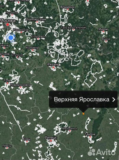 Мёд луговой натуральный 2023 г