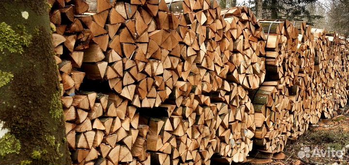 Дрова в СПБ