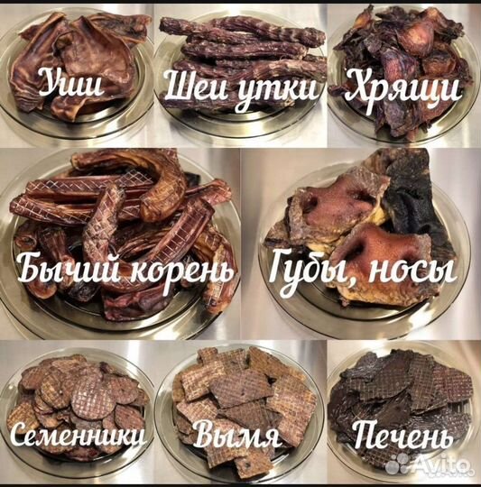 Лакомства для собак