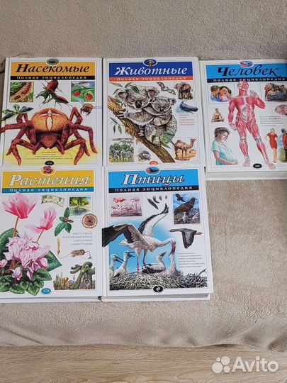 Познавательная книга для детей