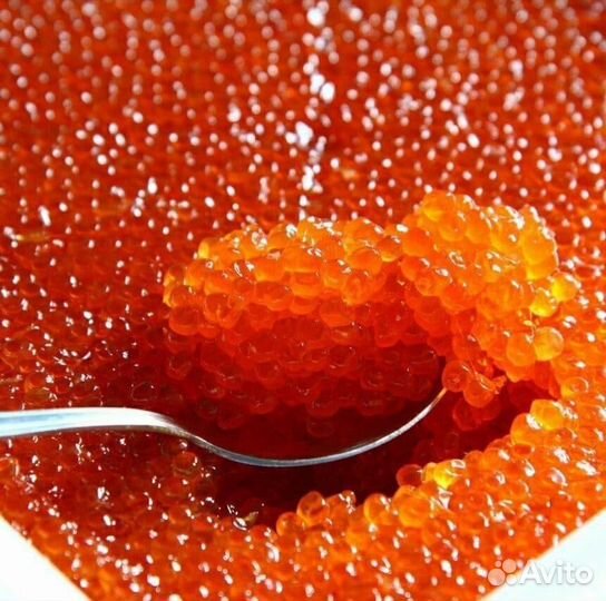 Красная икра горбуши