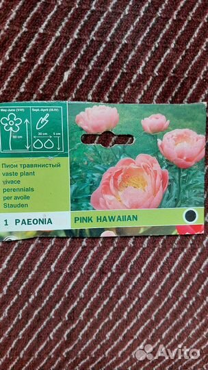Пион Пинк Гавайан