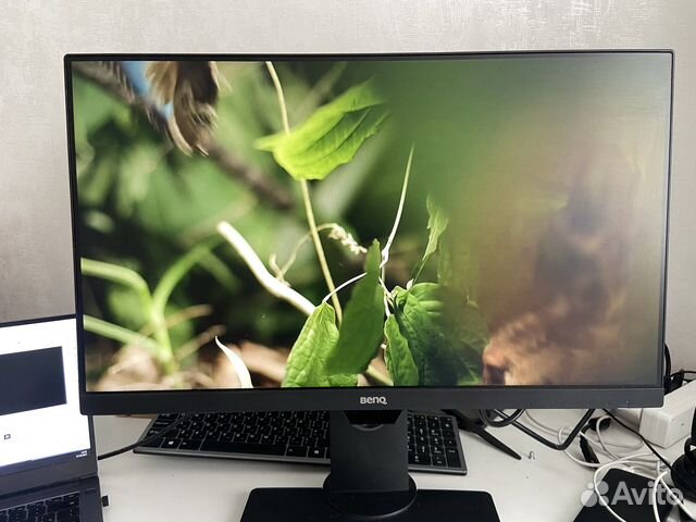Монито Benq BL2480T с защитой зрения купить в Новосибирске ...