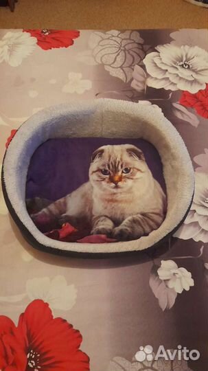 Лежанка для кошек