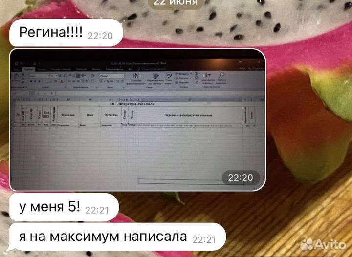 Репетитор по русскому языку и литературе