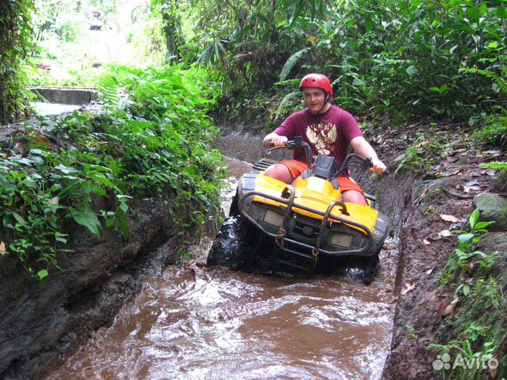 Друг-путешественник на час