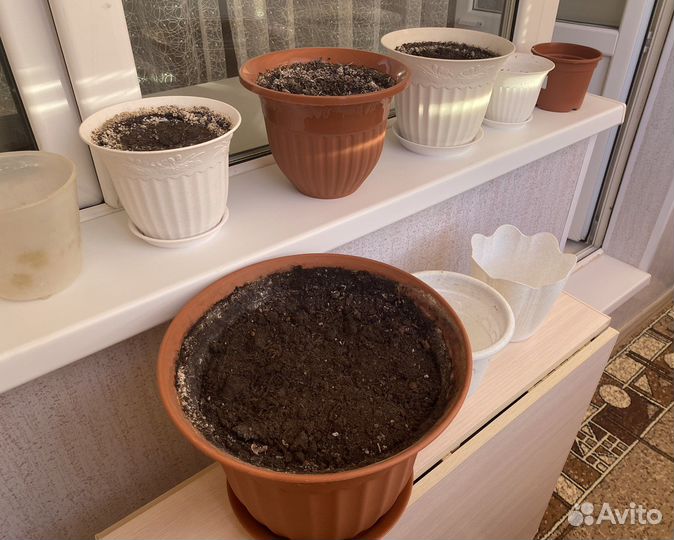 Цветочные горшки с землей