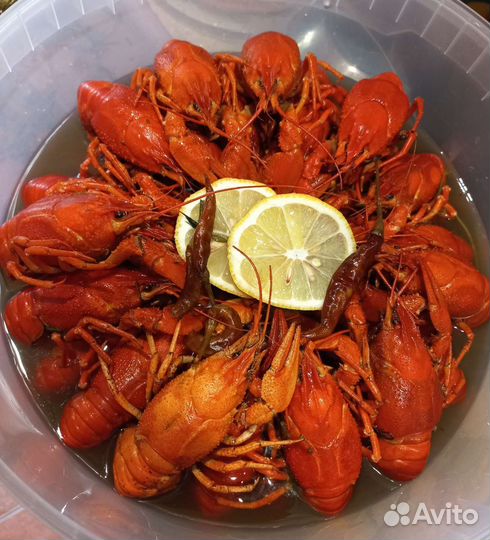 Живые и вареные раки