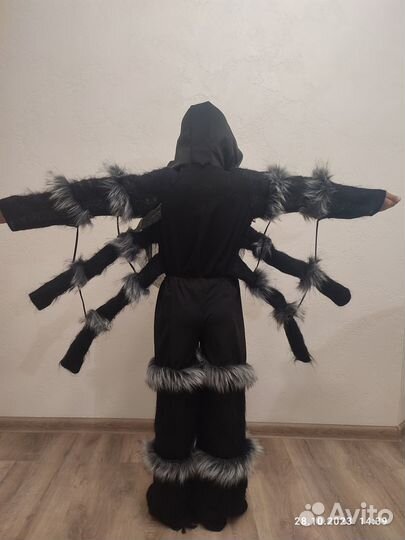 Костюм Паука, Скелет, Ворон, Дракула на Хэллоуин