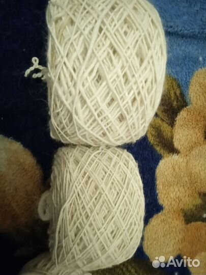 Собачья шерсть самоеда. пряжа