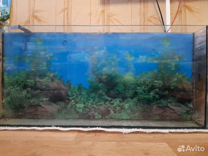 Банка для аквариума