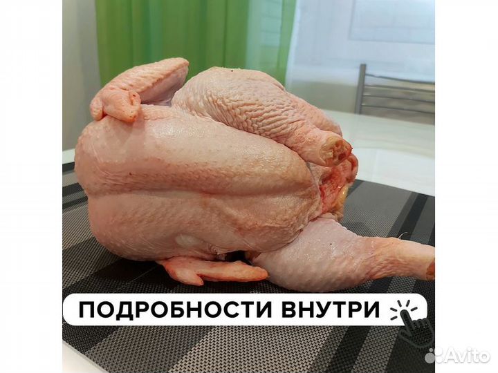 Курица