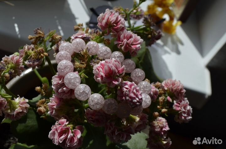 Сахарный кварц