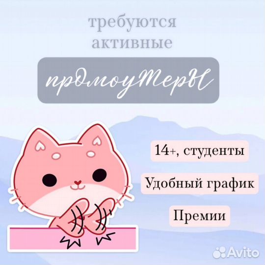 Промоутер 14 лет