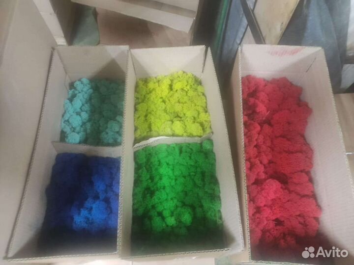 Стабилизированный мох от производителя