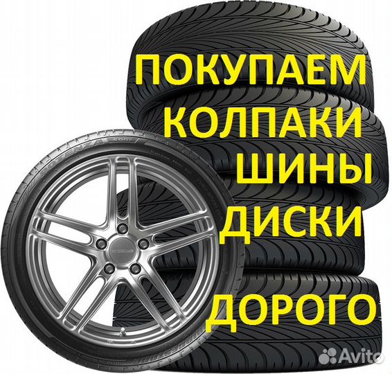 Nexen Winguard 231 195/65 R15