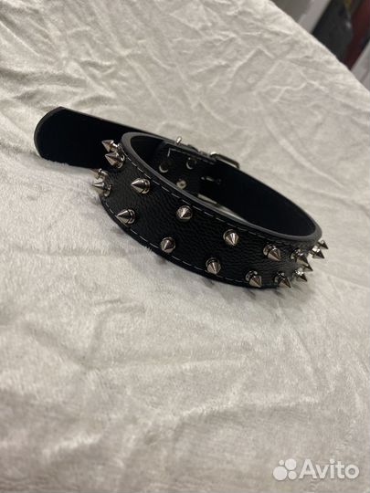 Ошейник для собак