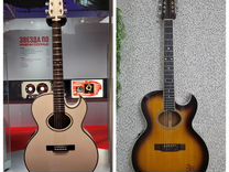 Washburn ea 40 (12)