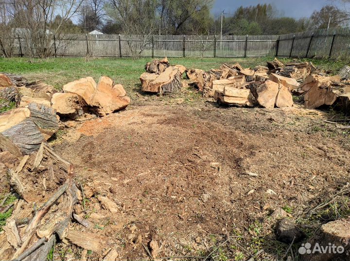 Дробление удаление корчевание пней