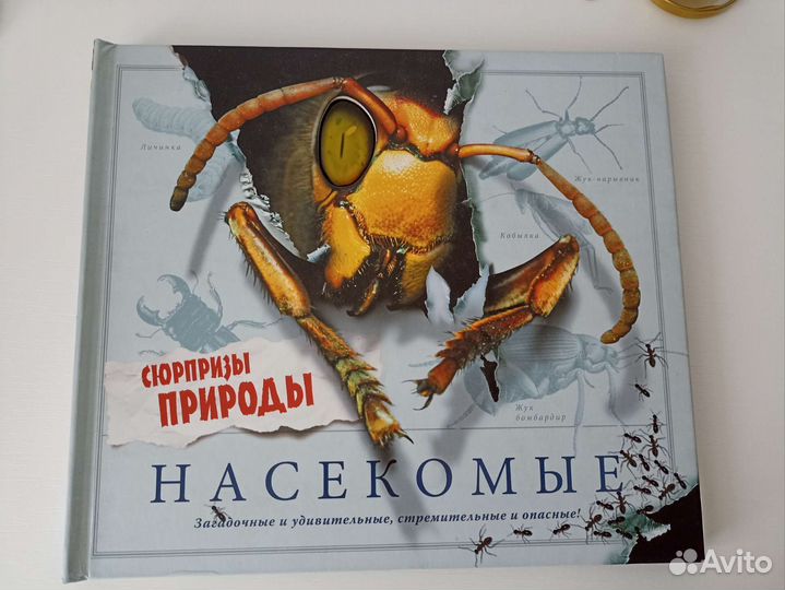 Насекомые книга