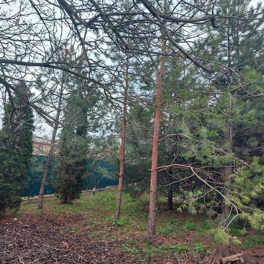 Участок 6 сот. (ИЖС)