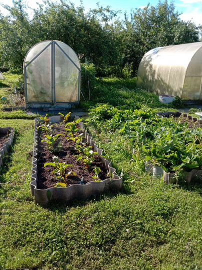 Дача 60 м² на участке 6 сот.