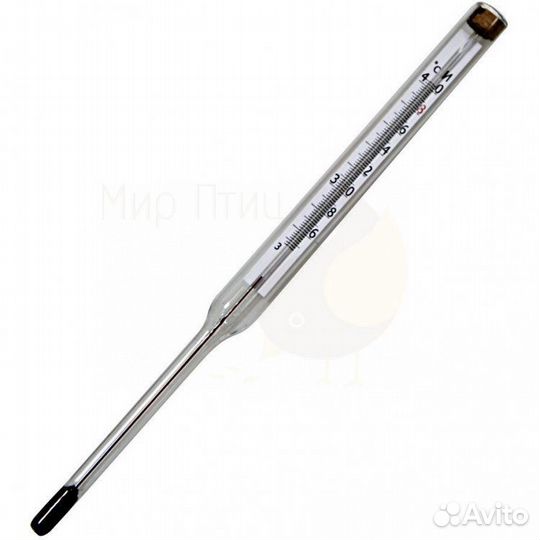 Термометр для инкубатора